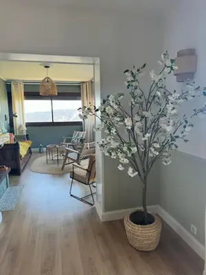 a living room with a tree in a basket at A CASA DI GEMMA in Appietto