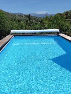 a large blue swimming pool with a mountain in the background at L'AMANDIER -LE FIGUIER-LES LAURIERS ROSES in Ajaccio