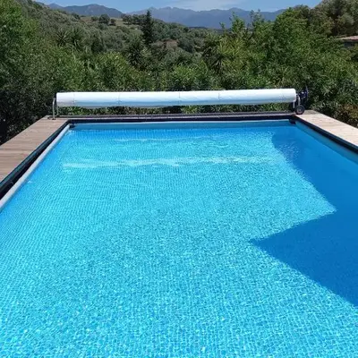 L'AMANDIER -LE FIGUIER-LES LAURIERS ROSES