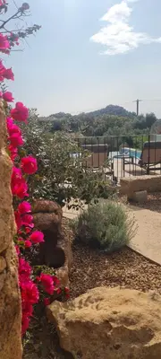 a bunch of pink flowers on a stone wall at Gianni Location Palombaggia in Porto-Vecchio