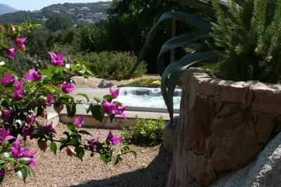 a swimming pool in a garden with purple flowers at Sunrise T2 avec jacuzzi vue mer in Porto-Vecchio