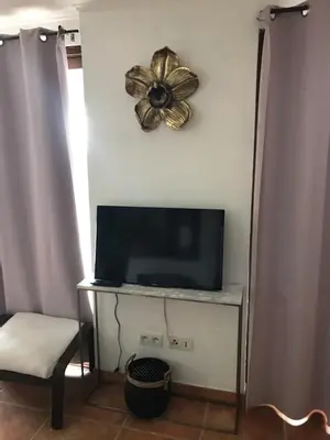 a room with a tv and a flower clock on the wall at Studio de 39 m2 in Vezzani