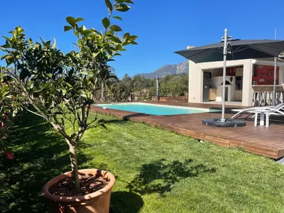a tree in a pot next to a swimming pool at Magnifique villa récente entre mer et montagne située entre Ajaccio et Porticcio in Cauro