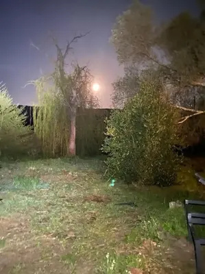 a garden at night with a tree and a fence at Mobilhome à la campagne in Porto-Vecchio