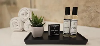 two bottles of essential oils and a book on a bathroom counter at Bel & ancien appartement T3 rénové dans Sartène in Sartène