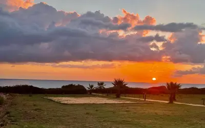 a sunset over a beach with palm trees and the ocean at Casa in Cervione