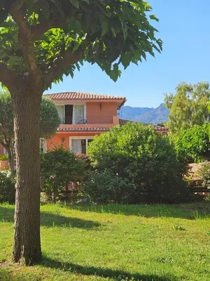 an orange house with a tree in a field at Casa Marcelli 5 in Porto-Vecchio
