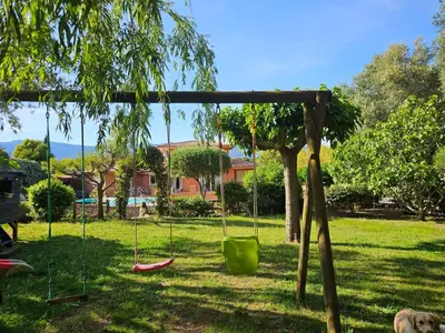 a swing in a yard with a dog at Casa Marcelli 5 in Porto-Vecchio