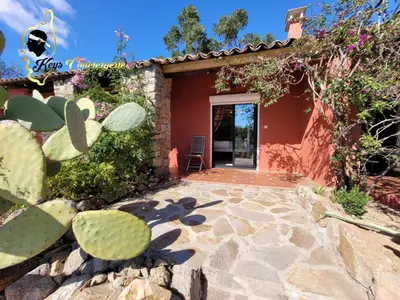 a house with a cactus in the yard at Casa Salya 8 pers Piscine privée Chauffée San Cipriano in Lecci