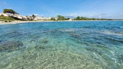 a large body of water with a beach at Corse - Bord de mer, Appartement neuf avec Piscine Chauffée in Linguizzetta