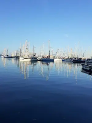 a group of boats are docked in a harbor at Corse - Bord de mer, Appartement neuf avec Piscine Chauffée in Linguizzetta