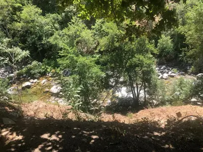 a forest filled with lots of trees and rocks at Chambre avec balcon à louer in Bains de Guitera