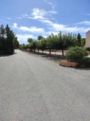 an empty road with a row of trees on the side at Splendide vue Mer in Linguizzetta