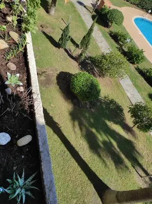 a shadow of a tree on the grass next to a pool at Splendide vue Mer in Linguizzetta