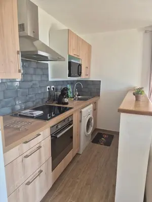 a kitchen with a sink and a stove top oven at Charmant petit logement à 3 kms de la plage in Belgodère