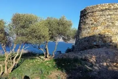 a group of trees next to a stone wall at Charmant petit logement à 3 kms de la plage in Belgodère
