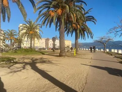 a sidewalk with palm trees on the beach at Studio neuf et lumineux - Ajaccio centre - Place Miot/Albert 1er in Ajaccio