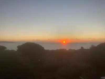 a sunset over the ocean with trees in the foreground at Chez Jean Claude la villa des amis in Olmeto