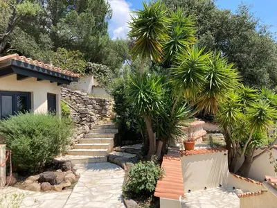 a garden with palm trees and steps to a house at Chez Jean Claude la villa des amis in Olmeto