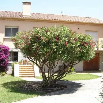 Casa Rossa Solenzara