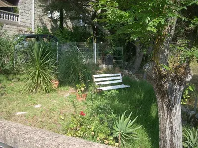 a park bench sitting in the grass next to a tree at CHAMBRE INDEPENDANTE climatisée, cuisine d'été, piscine in Sartène