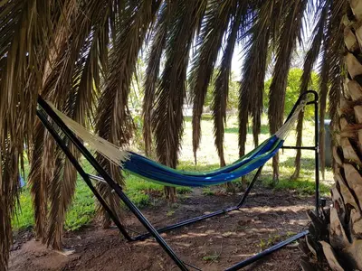 a hammock in the shade of a palm tree at PALMA Piscine chauffée Grand jardin avec piscine à 1 km de la mer in Solaro