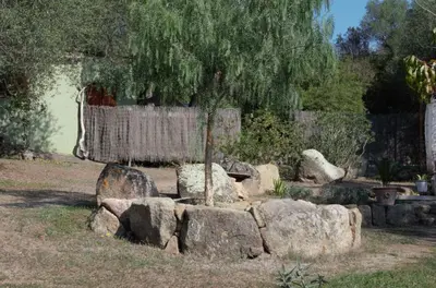 a tree sitting on top of a pile of rocks at La rose bleue (2) in Olmeto