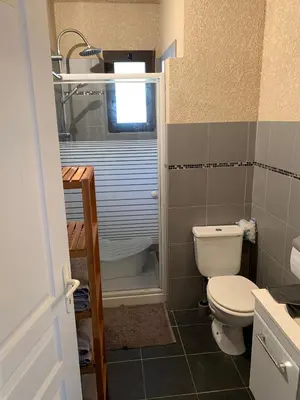 a small bathroom with a toilet and a shower at Le cap’o in Porto Ota