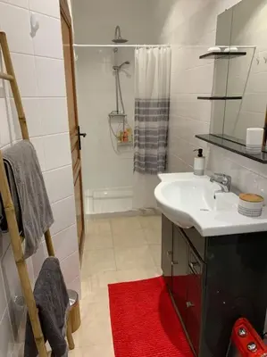 a bathroom with a sink and a shower with a red rug at Panorama exceptionnel sur les hauteurs de Propriano in Propriano