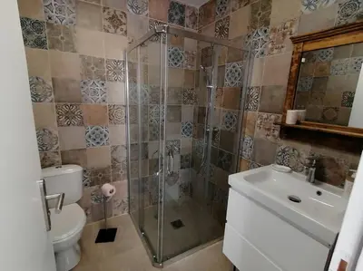a bathroom with a shower and a toilet and a sink at Grand studio classé 3 etoiles in Tavera