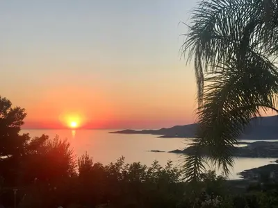 a sunset over a body of water with a palm tree at Petit coin de paradis, vue panoramique mer &montagne, piscine privée... in Calcatoggio