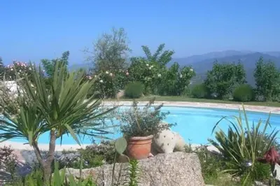 a swimming pool with plants in a garden at Petit coin de paradis, vue panoramique mer &montagne, piscine privée... in Calcatoggio