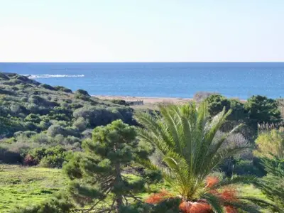 a view of the ocean and a palm tree at 2 pièces vue mer à 3 min des plages in Propriano