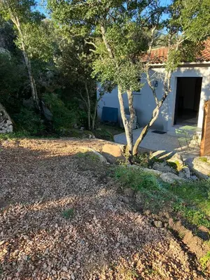 a house with a tree in the yard at T2 Rocca in Sotta