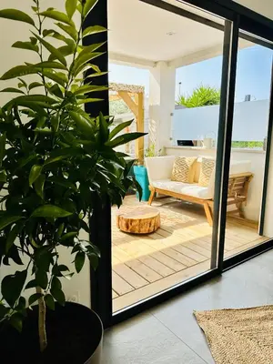 a living room with a couch and a plant at T2 « Bohème » avec Spa… in Calenzana