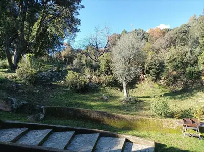 a view of a park with a bench and trees at Appartement avec vue sur la montagne in Vico