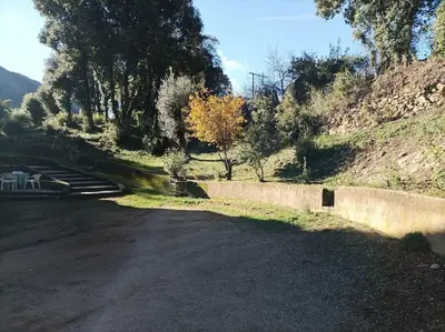 an empty road with trees on the side of a hill at Appartement avec vue sur la montagne in Vico