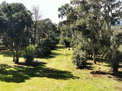 a path through a field with trees and grass at Villa Casa Sognu di Orizonte in Figari