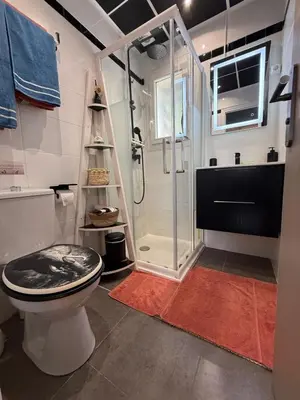 a bathroom with a shower and a toilet at Studio de charme à 300 m de la Plage de Santa Giulia in Porto-Vecchio