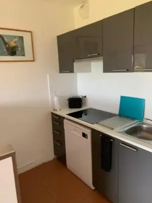 a kitchen with a sink and a counter top at Grand studio rte des sanguinaires Superbe vue Mer in Ajaccio