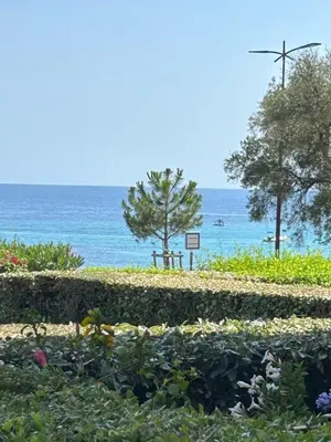 a garden with the ocean in the background at Grand studio rte des sanguinaires Superbe vue Mer in Ajaccio