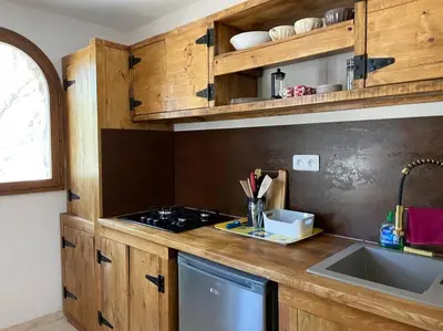 a kitchen with wooden cabinets and a sink at BERGERIE LA NEPITA in Saint-Florent