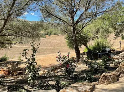a garden with some flowers and trees and rocks at BERGERIE LA NEPITA in Saint-Florent
