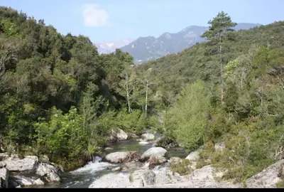 a river in the middle of a mountain with trees at Casa Elena in Ajola