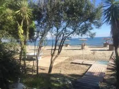 a view of a beach with trees and the ocean at Le Cocon de Lilie in San-Nicolao