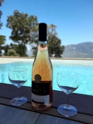 a bottle of wine and two wine glasses on a table at Villa Elora vue mer et piscine in Viggianello