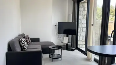 a living room with a couch and a table and a tv at N2 Maison T2 climatisé in Ajaccio