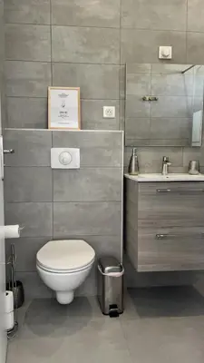 a bathroom with a toilet and a sink at N2 Maison T2 climatisé in Ajaccio