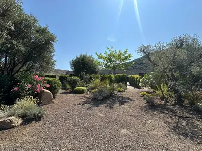 a garden with a bunch of plants and trees at N4 Maison T2 climatisé in Ajaccio
