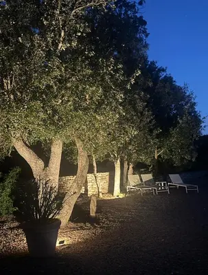 a group of trees with at CasaCanetto villa, suites et piscine chauffée in Bonifacio